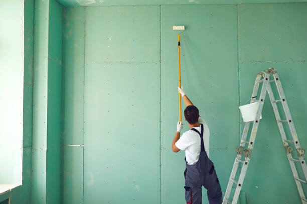 Best Residential Mold Inspection & Testing  in South Roxana, IL
