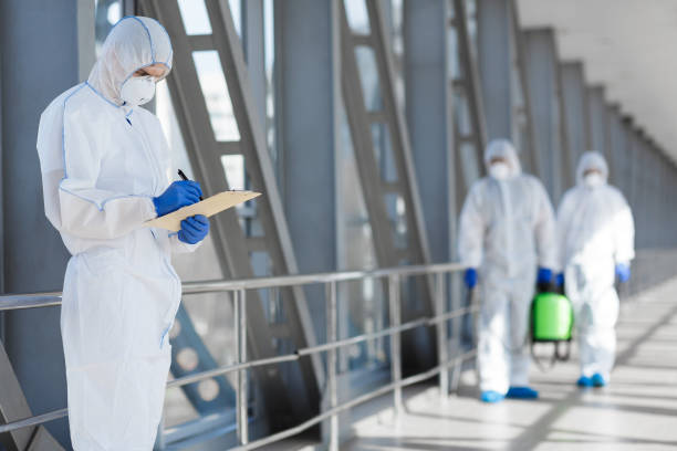 Best Environmental Consulting for Mold Prevention  in South Roxana, IL