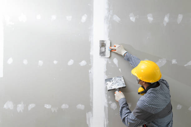 Best Industrial Mold Remediation  in South Roxana, IL