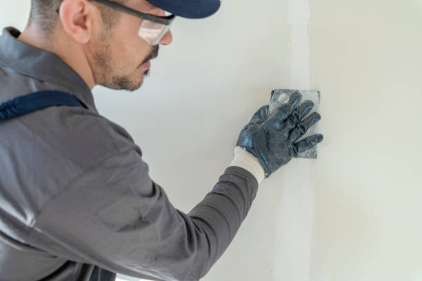 Best Post-Construction Mold Inspection  in South Roxana, IL