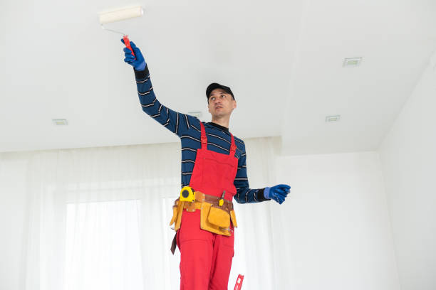 Best Emergency Mold Remediation  in South Roxana, IL