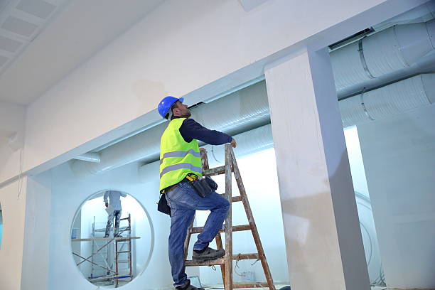 Best Mold Documentation for Insurance Claims  in South Roxana, IL