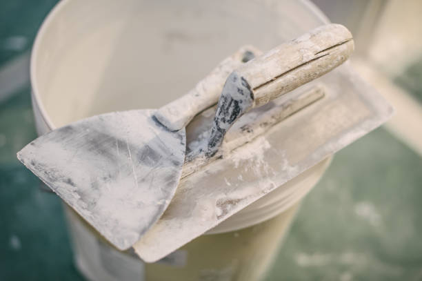 Best Commercial Mold Inspection  in South Roxana, IL